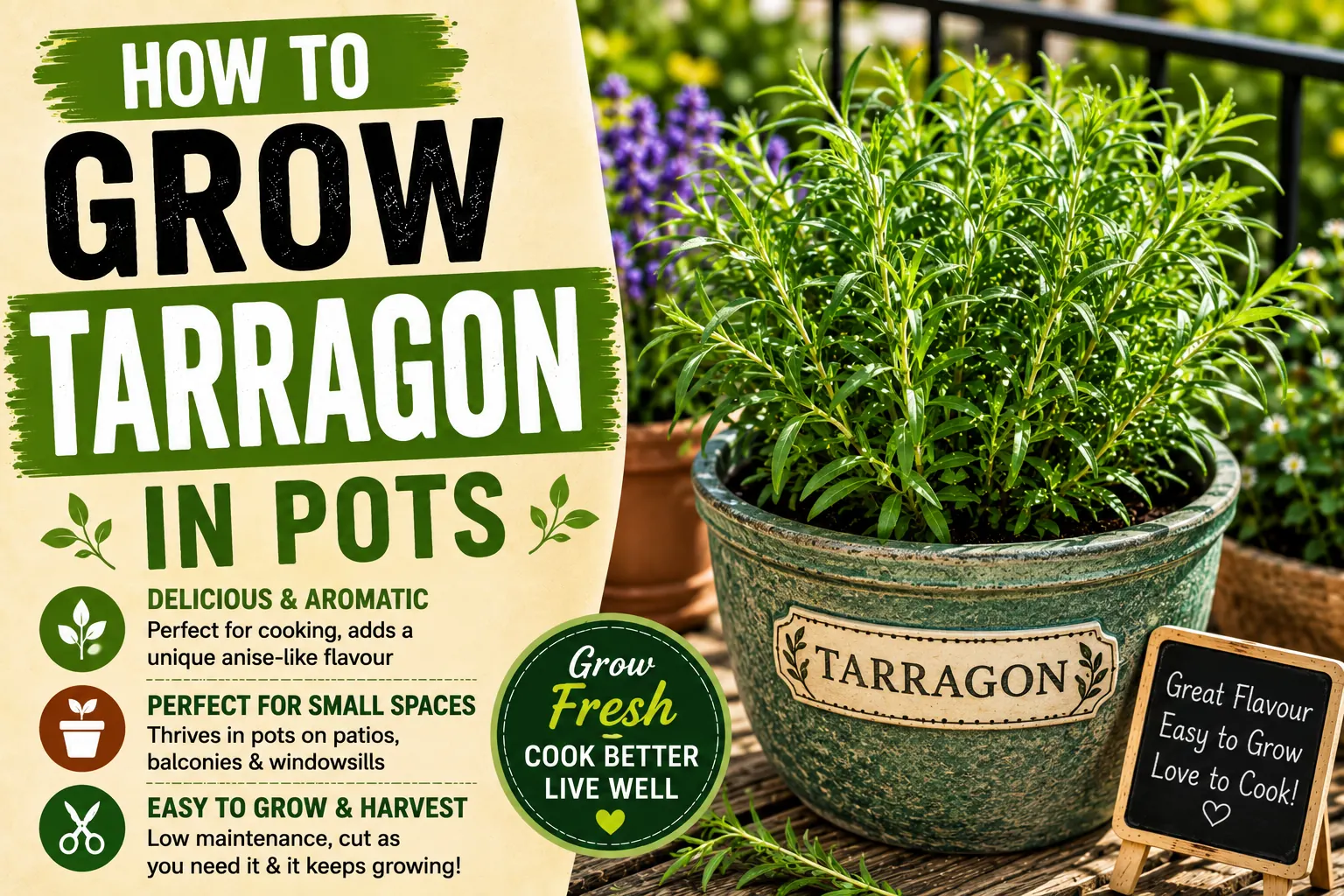 How to Grow Tarragon in Pots